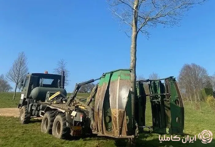 جابجایی درخت در فصل بهار